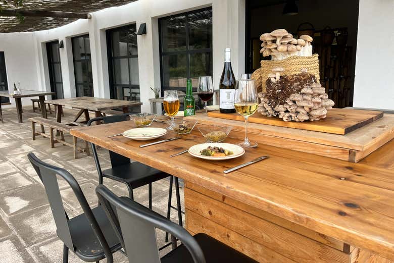Todo preparado para la degustación micológica