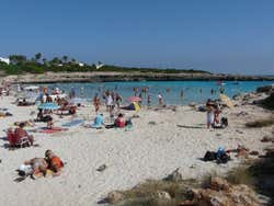 Cala en Bosch