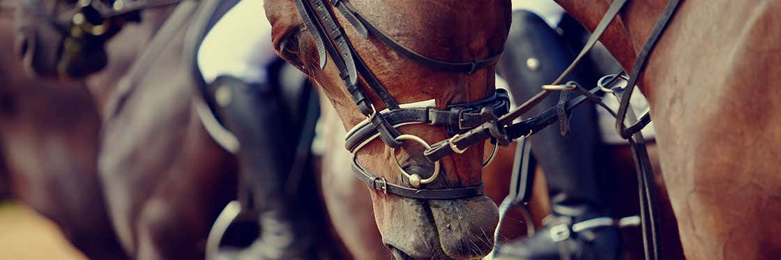 Carreras de caballos en Menorca