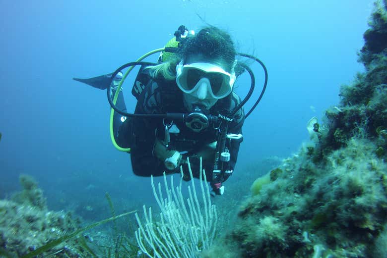 Buceando en Menorca