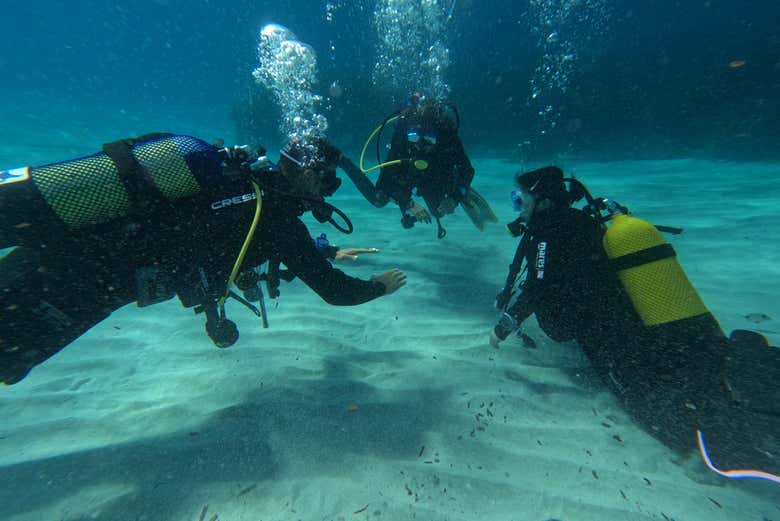 Siguiendo las indicaciones del instructor